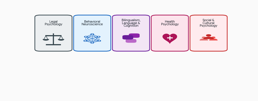 Our Areas of Research 